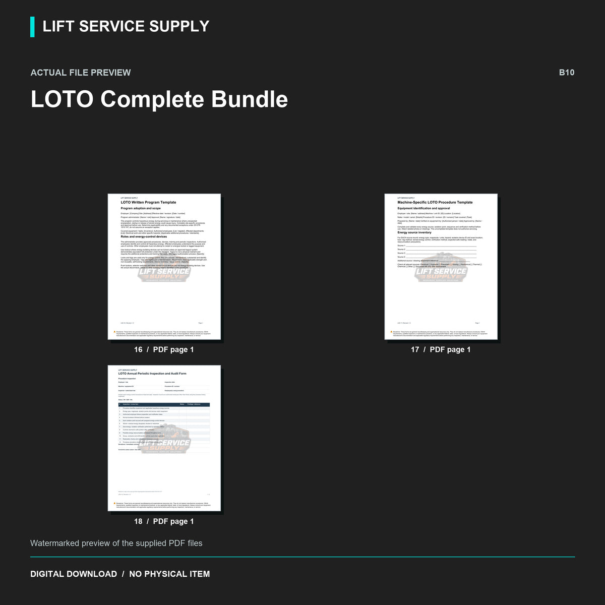 LOTO Complete Bundle - Actual form preview with logo watermark